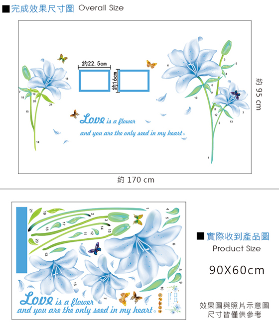 藍色百合-2.jpg