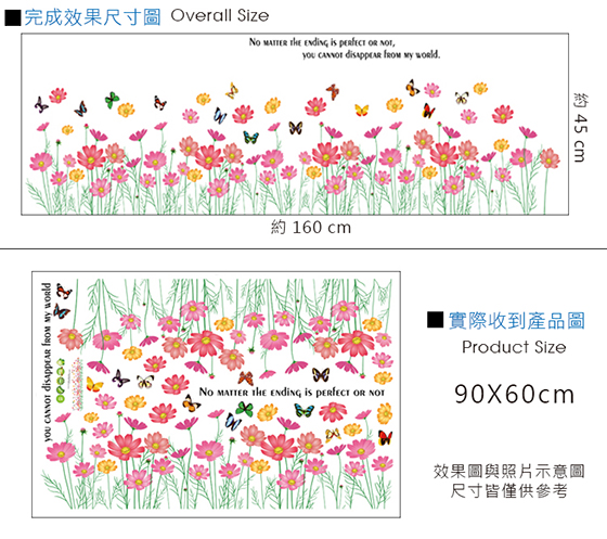 雛菊花田-2.jpg