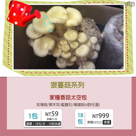 【狠蔓菇系列-家种香菇太空包 感谢网友热烈抢购,销售一空!