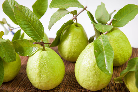 屏东高树帝王芭乐-芭乐礼盒-屏东高树乡产，多汁脆甜，肉质细嫩的美味芭乐。来自农家辛苦用心栽种，安心健康，果香味浓，维他命C超丰富