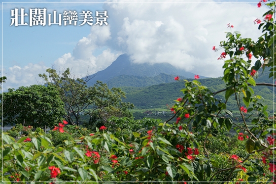 六六山石路花園民宿/台東市/台東民宿