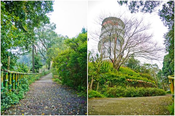 雲洞山莊/苗栗/雲海/苗栗雲洞/苗栗民宿/民宿