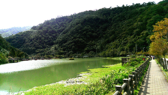 忙裡偷閒渡假民宿/忙裡偷閒/員山民宿/太平山民宿/宜蘭/住宿/奶凍捲