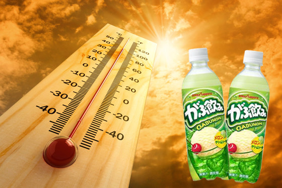 POKKA SAPPORO-日本哈密瓜口味冰淇淋汽水