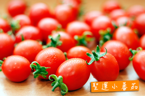 阿莲蔬菜产销第8班-圣运小蕃茄-㊣吉园圃认证,爆汁圣运小蕃茄!浑圆饱满,汁多皮薄的闪亮红色宝石,让您享受最难以忘怀的甜蜜滋味。 - - 17LIFE 17P好康, 福利团购, 订餐系统