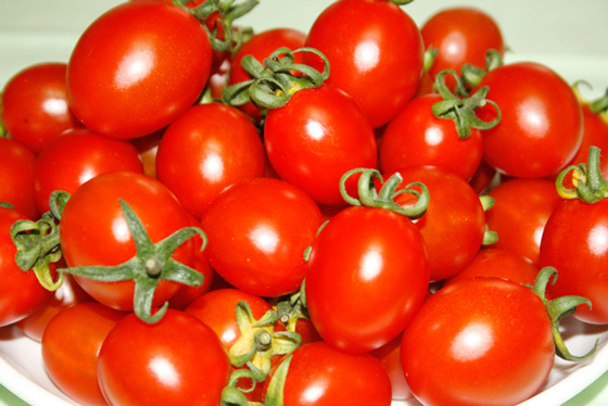 阿莲蔬菜产销第8班-圣运小蕃茄-㊣吉园圃认证,爆汁圣运小蕃茄!浑圆饱满,汁多皮薄的闪亮红色宝石,让您享受最难以忘怀的甜蜜滋味。 - - 17LIFE 17P好康, 福利团购, 订餐系统