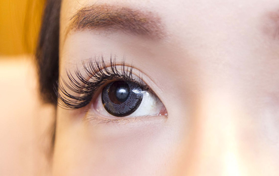 鑫薇拉时尚美睫馆-初春韩妆稼接睫毛课程-只要