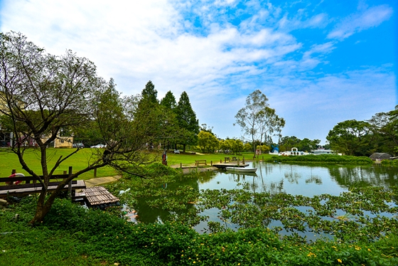 富田/花園/農場