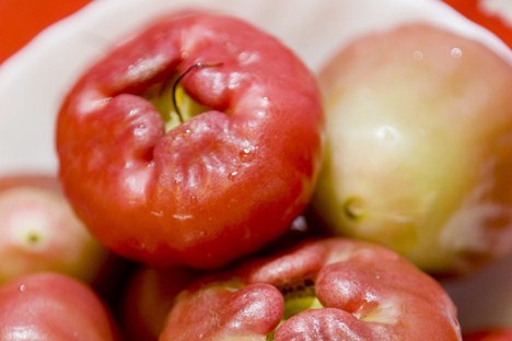 欣荣果园-黑珍珠莲雾-产地新鲜直送!产自台湾屏