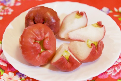 欣荣果园-黑珍珠莲雾-产地新鲜直送!产自台湾屏