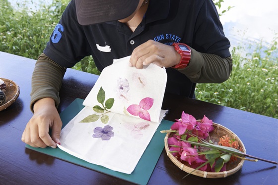 理想大地/渡假飯店/壽豐/花蓮/理想大地渡假飯店/住宿