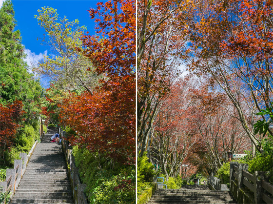 長榮/鳳凰/礁溪/湯/酒店/宜蘭泡湯/礁溪長榮/長榮鳳凰