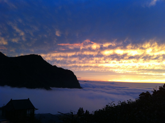 朵麗絲/民宿/嘉義/朵麗絲森林民宿/阿里山/住宿/夜間活動/日出