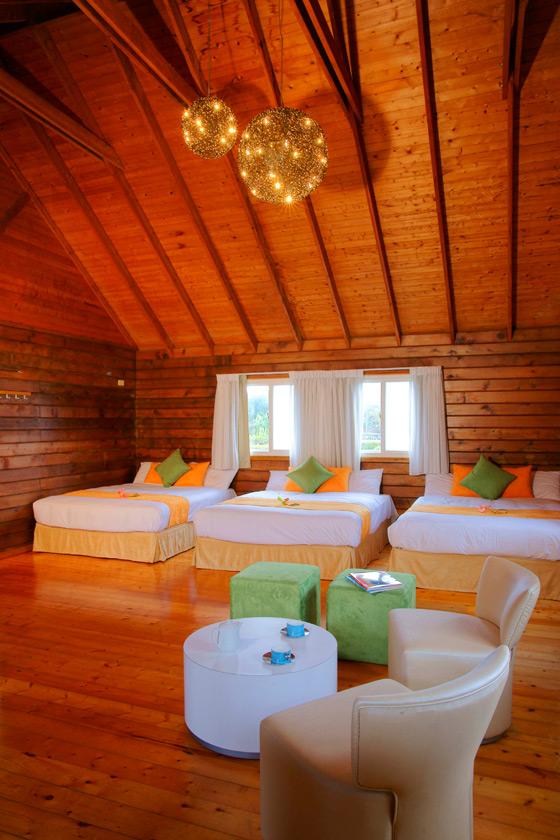 夜宿海生館X小墾丁渡假村/夜宿海生館/小墾丁渡假村/三天兩夜/海生館/光雕/假日不加價/墾丁/屏東車城/海底總動員/親子同遊