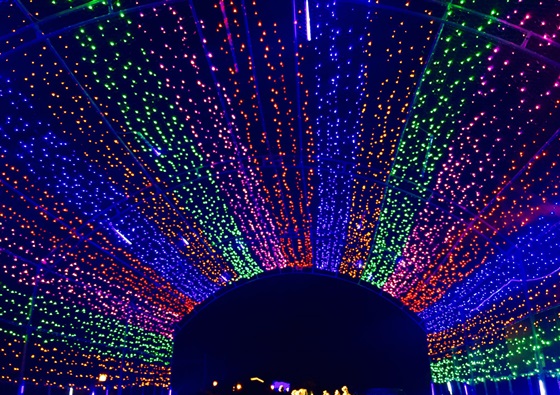 夜宿海生館X小墾丁渡假村/夜宿海生館/小墾丁渡假村/三天兩夜/海生館/光雕/假日不加價/墾丁/屏東車城/海底總動員/親子同遊