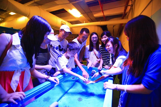 夜宿海生館X小墾丁渡假村/夜宿海生館/小墾丁渡假村/三天兩夜/海生館/光雕/假日不加價/墾丁/屏東車城/海底總動員/親子同遊