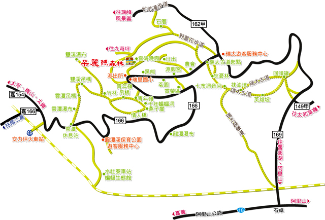 朵麗絲/民宿/嘉義/朵麗絲森林民宿/阿里山/住宿/夜間活動/日出