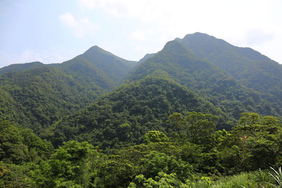 驛站溫泉會館/驛站/溫泉/烏來老街/泡湯/義大利麵/原住民