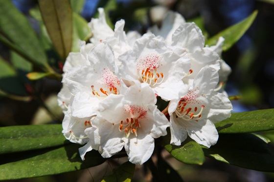 杉林溪森林生态渡假园区-入夏避暑住宿专案，中部,饭店旅馆,南投,清境。溪头，热销中，17Life，团购、宅配24小时到货、优惠券、即买即用