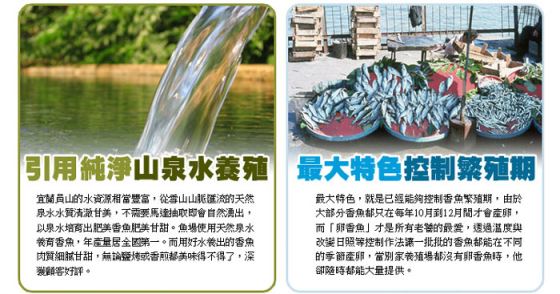 生鮮/築地一番鮮/帶卵小香魚/宜蘭/調理/烤肉/食材/新鮮/午餐/晚餐/便當