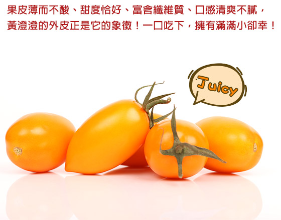 美濃/橙蜜香蕃茄