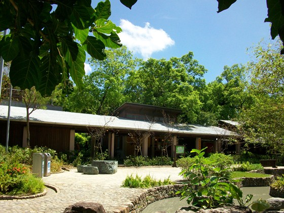 原湯旅店/原湯/礁溪原湯/礁溪泡湯/礁溪/旅店/溫泉魚/宜蘭住宿