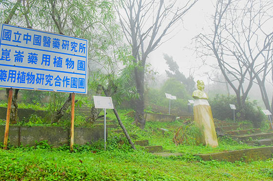 崑崙養生莊園/崑崙/桃園/泡湯/龍潭/藥草泡湯