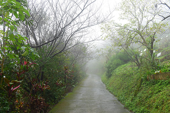 崑崙養生莊園/崑崙/桃園/泡湯/龍潭/藥草泡湯