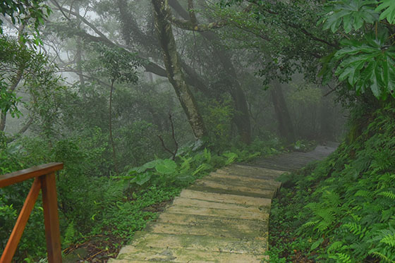 崑崙養生莊園/崑崙/桃園/泡湯/龍潭/藥草泡湯