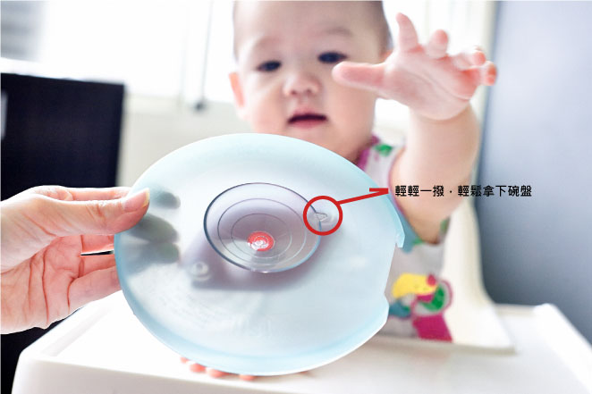 美国Baby diner-dish holder婴儿用餐吸盘架-网