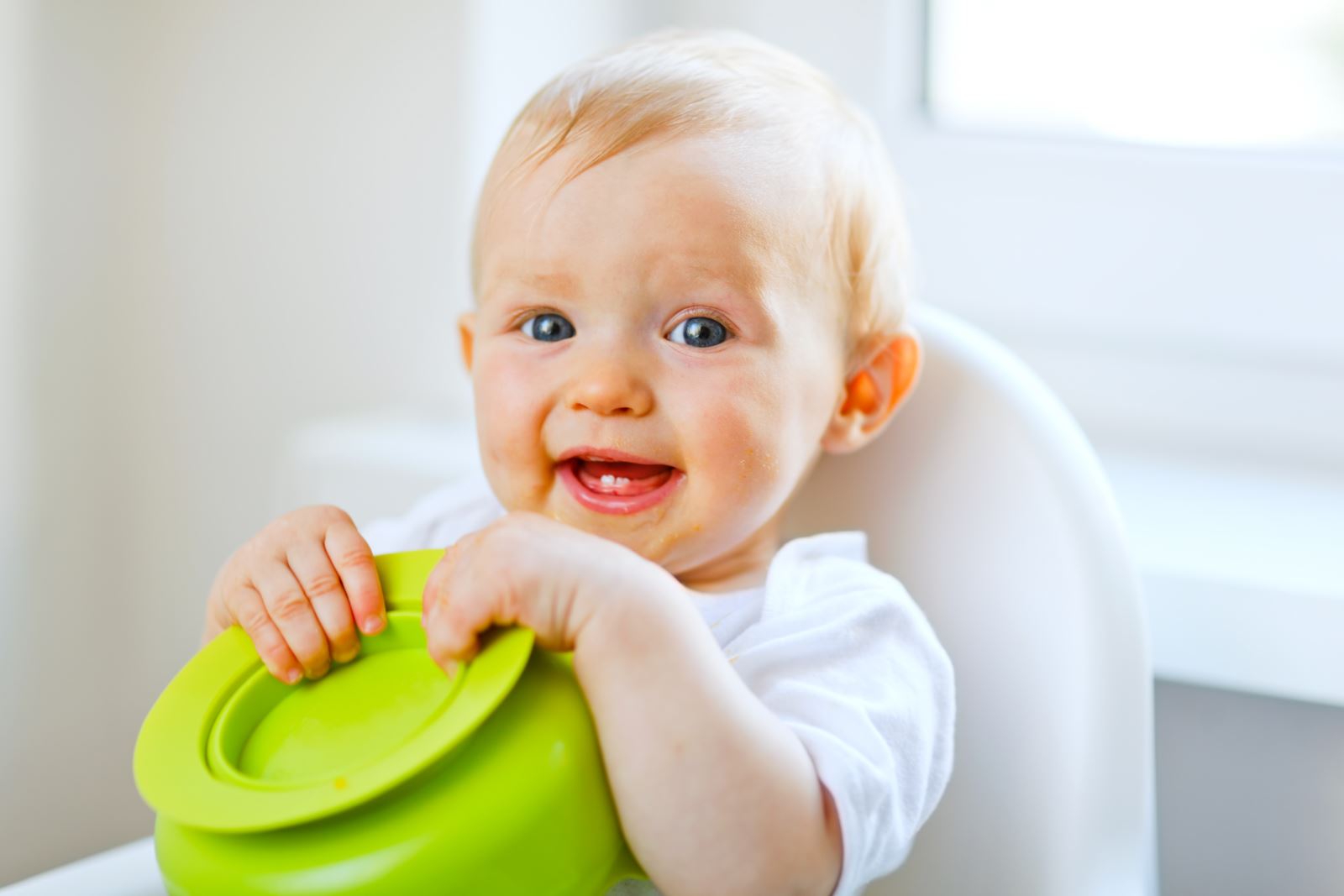 美国Baby diner-dish holder婴儿用餐吸盘架-网