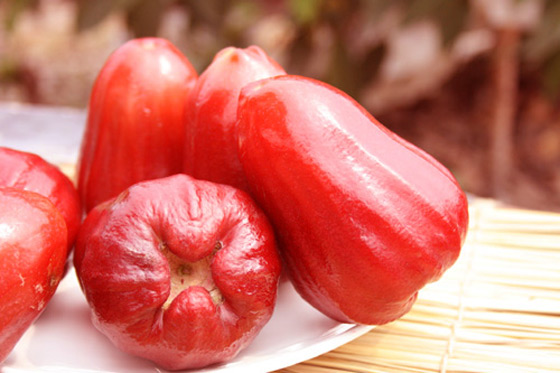 饕客-龟蜜风铃子弹莲雾-产地新鲜直送,外型如风