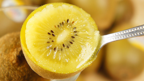 zespri-纽西兰黄金奇异果-奇异果中的极品,纽西