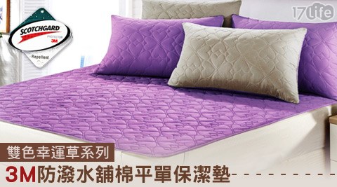 CERES-雙色幸運草系列3M防潑水舖棉平單保潔墊/枕套