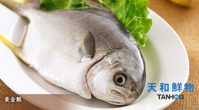 烟台天和元海鲜酒店_烟台海鲜_海鲜大餐图片