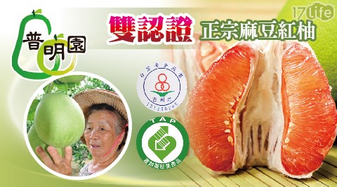 普明園-雙認證-台南麻豆35年老欉紅柚(預購9/19後出貨)