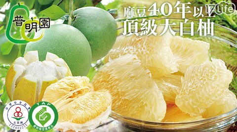 普明園-雙認證-台南麻豆40年老欉頂級大白柚(預購10/15後出貨) 