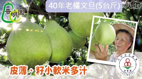 【普明園】吉園圃&SGS雙重認證-台南麻豆40年老欉文旦禮盒(5台斤)