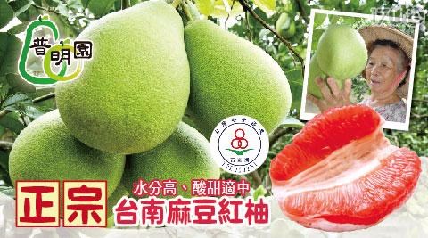 【普明園】吉園圃認證- 台南麻豆35年老欉紅柚(5台斤)