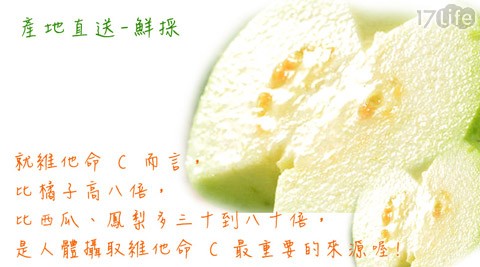 极品燕巢牛奶珍珠芭乐5台斤装-产地鲜采直送的