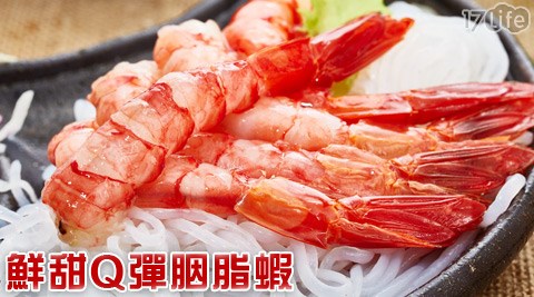 鮮甜Q彈胭脂蝦