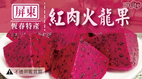【屏東恆春特產】(中)紅肉火龍果 5斤/盒 (9~11粒)