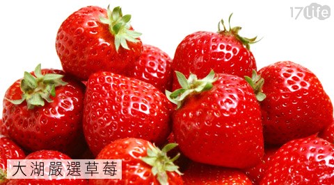 大湖-嚴選草莓