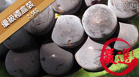 正宗信义丰丘葡萄-狂销数千盒以上的丰丘葡萄