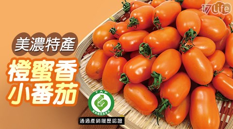 美濃採血 筆特產-產銷履歷認證橙蜜香小蕃茄