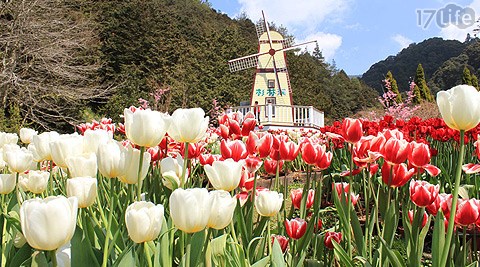 杉林溪森林生態渡假園區-森林鬱賞花住宿專案