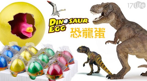 重回侏儸紀-恐龍孵化蛋