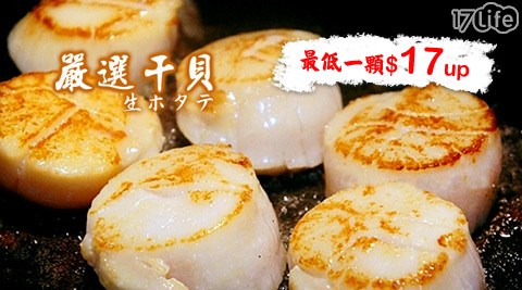日丸水大 團購 17p產-超鮮大干貝