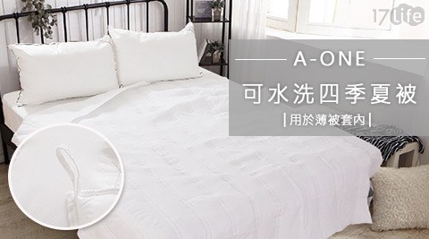 A-ONE-可水洗四季夏被(用於薄被套內)