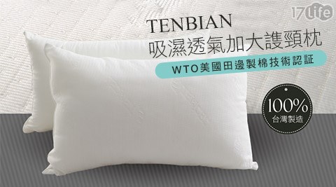 TENBIAN-吸濕透氣加大謢頸枕